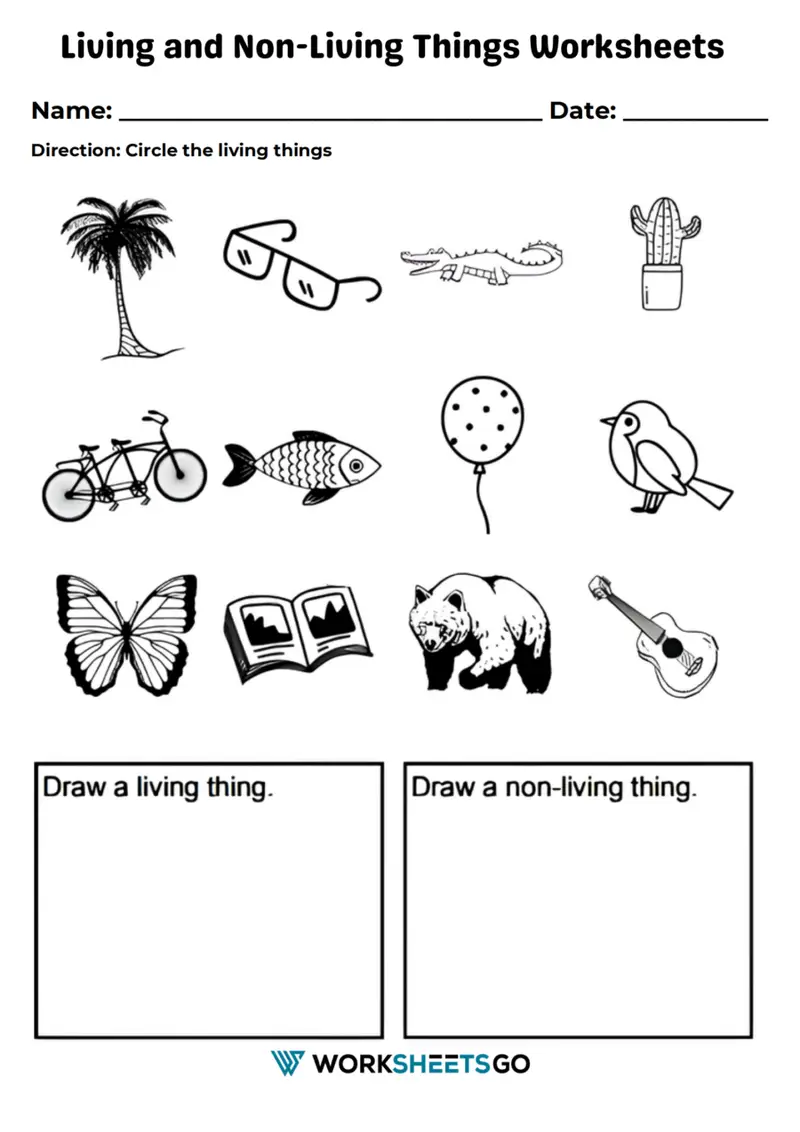 Pre-K child sorting pictures of living and non-living things on a colorful worksheet