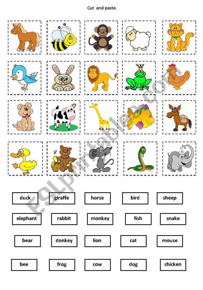 Interactive vocabulary activity for little zookeepers sorting animals by habitat 22 Pre-K animal cut and paste worksheet with animals to sort by flying, swimming, or crawling