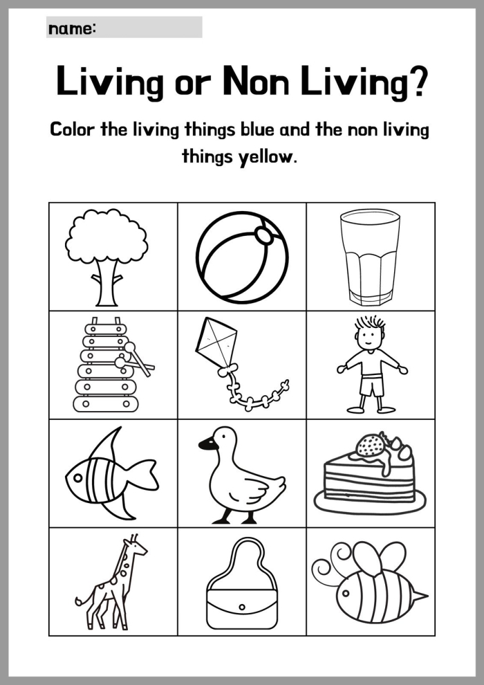 Pre-K worksheet showing various plants and animals to identify living and non-living things