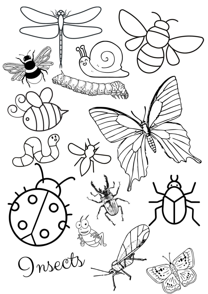 Coloring Page for Bugs in Nature science activity for young learners 9 Pre-K kids coloring a Bugs in Nature worksheet with various insects