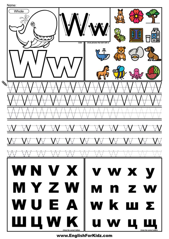 Worksheet 19: Letter W tracing activity for early learners in word families category Pre-K worksheet for practicing tracing lines and the letter W to build fine motor skills