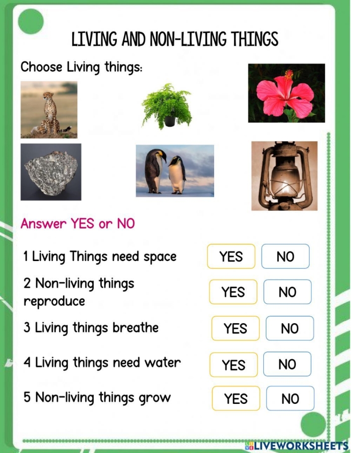 Pre-K worksheet featuring pictures of plants and animals to identify living and non-living things