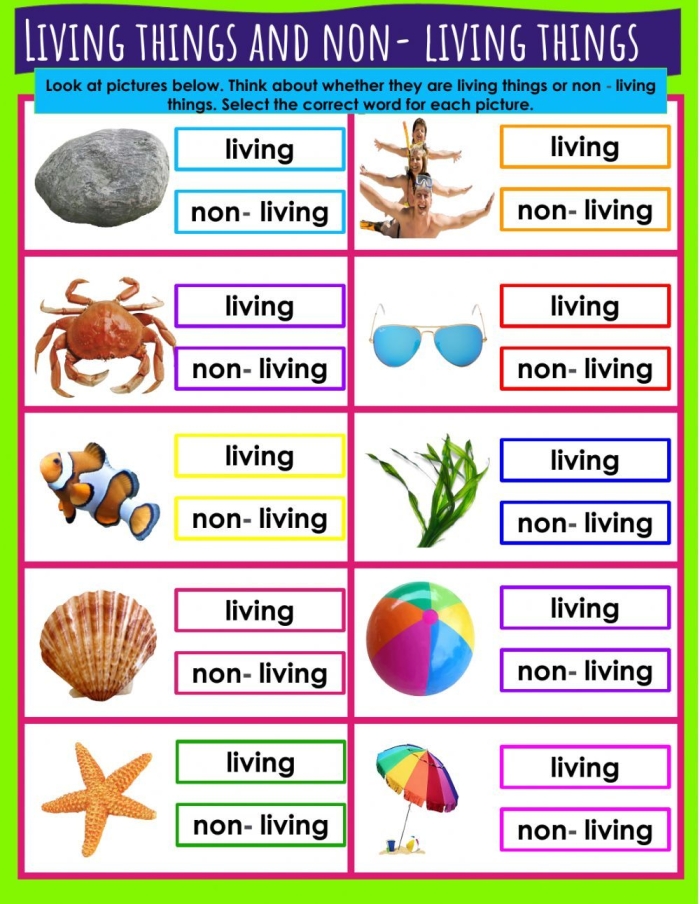 Pre-K worksheet helping kids identify living and non-living things with plants and animals