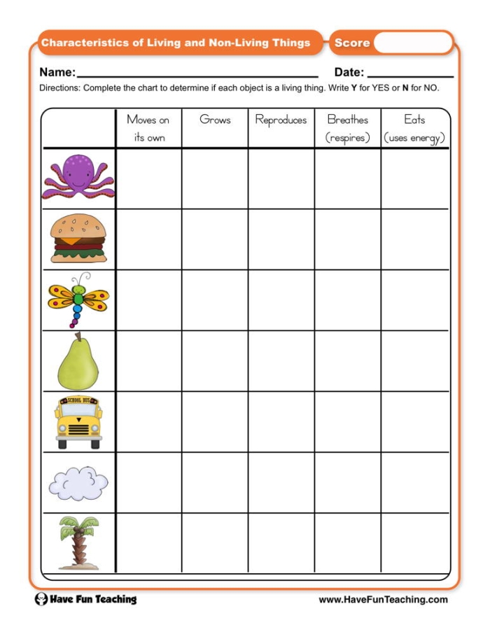 Pre-K worksheet showing pictures of plants and objects to identify living and non-living things