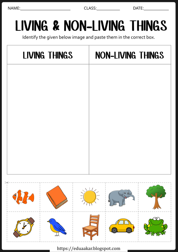 Pre-K worksheet showing various plants and animals to identify living and non-living things