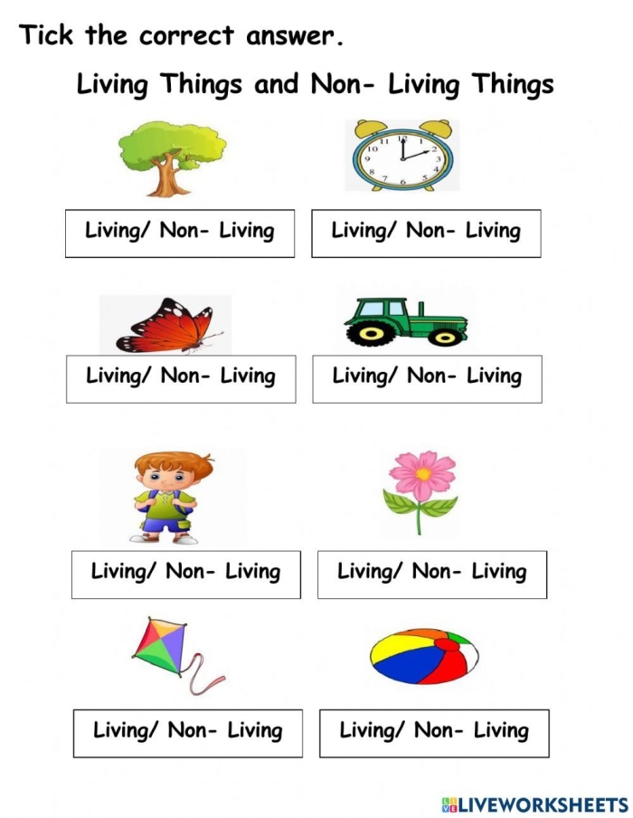 Pre-K worksheet showing pictures of living and non-living things for early phonics learning