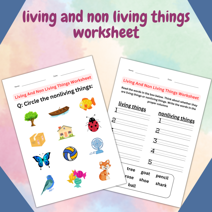 Pre-K child sorting pictures of living and non-living things in a phonics worksheet