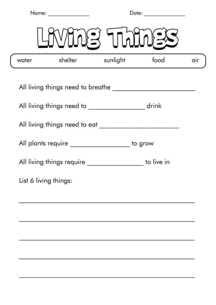 Pre-K worksheet showing pictures of plants and objects to identify living and non-living things