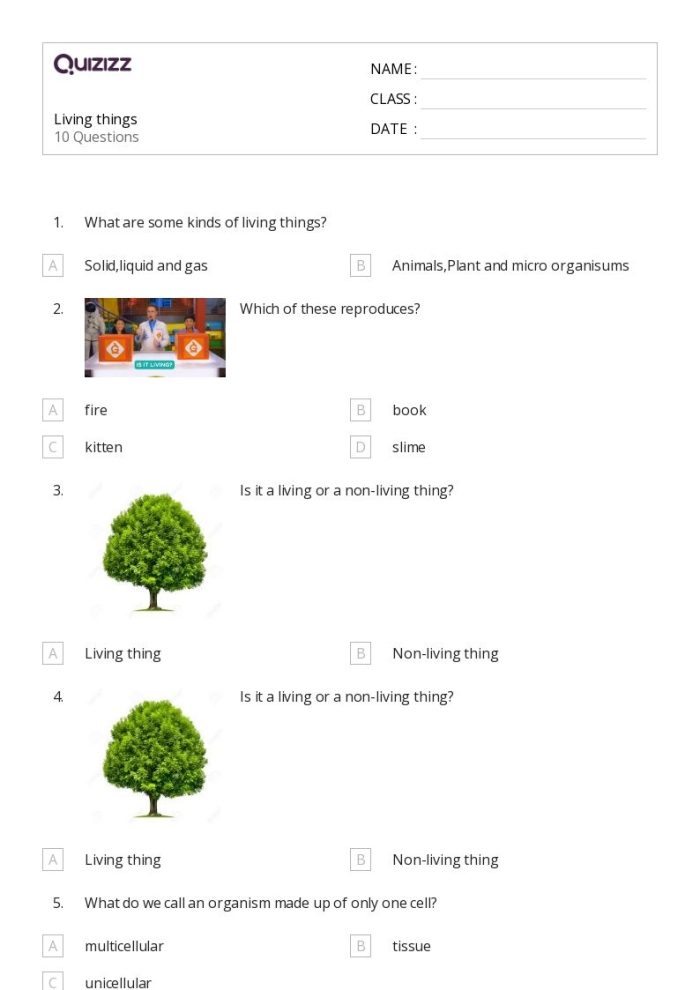 Pre-K worksheet showing pictures of plants and objects for sorting living and non-living things