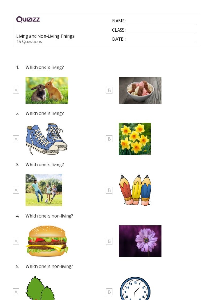 Pre-K worksheet featuring pictures of plants and objects for sorting living and non-living things