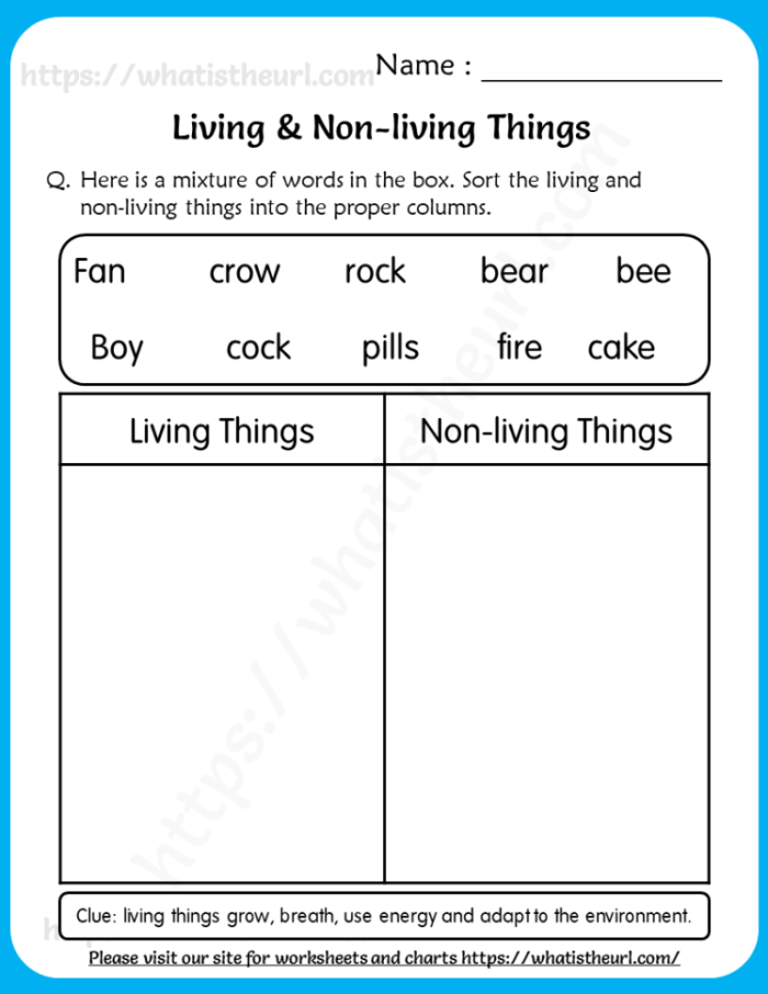 Pre-K child sorting pictures of living and non-living things in a worksheet
