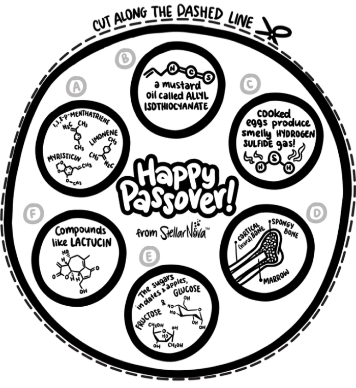 Passover Seder worksheet for Pre-K phonics with play food setup and tradition review
