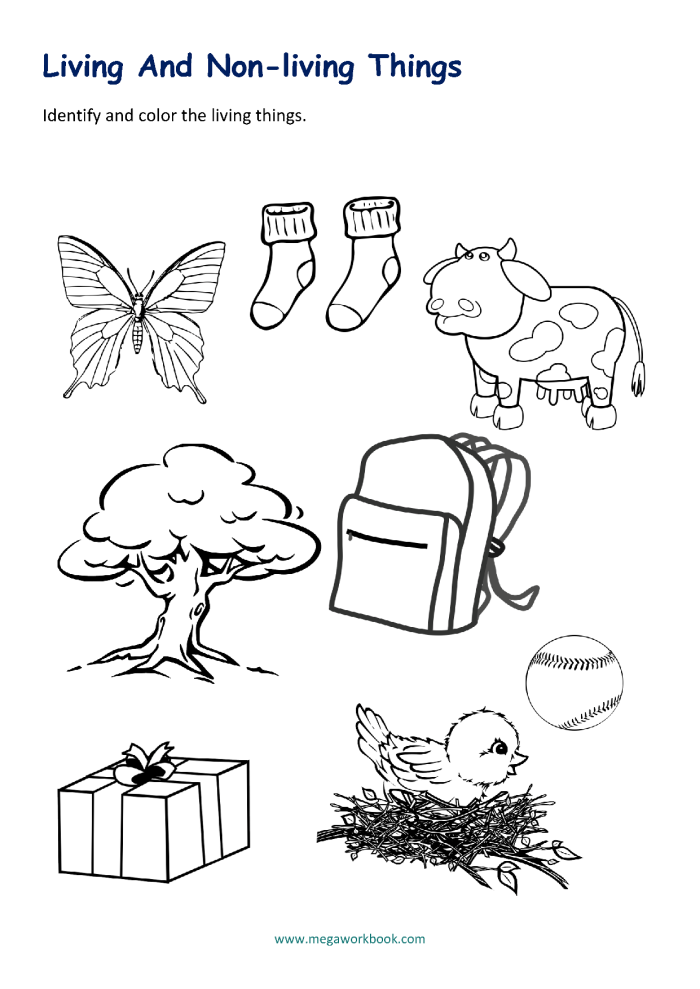 Pre-K worksheet featuring pictures to identify living and non-living things in a fun phonics activity