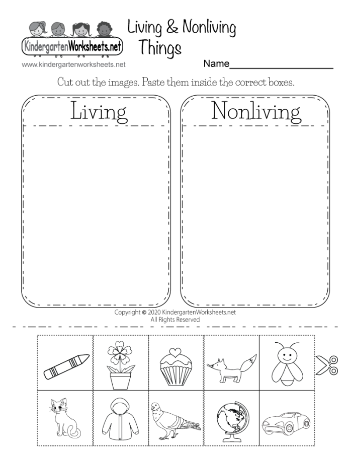 Pre-K child sorting pictures of living and non-living things on a worksheet
