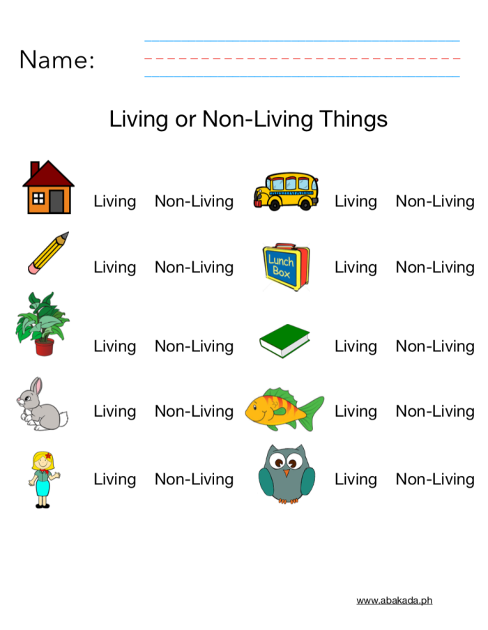 Pre-K living and non-living things worksheet featuring colorful plants and animals
