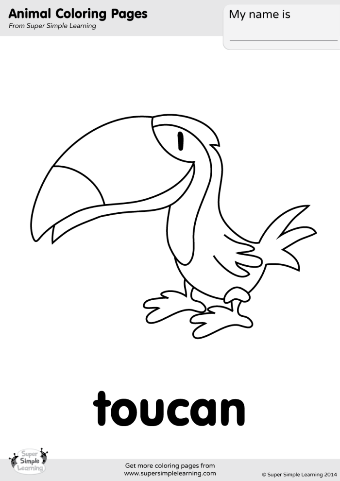 Bright toucan illustration for young learners to color in worksheet number two Colorful toucan drawing for a Pre-K civics and government coloring worksheet