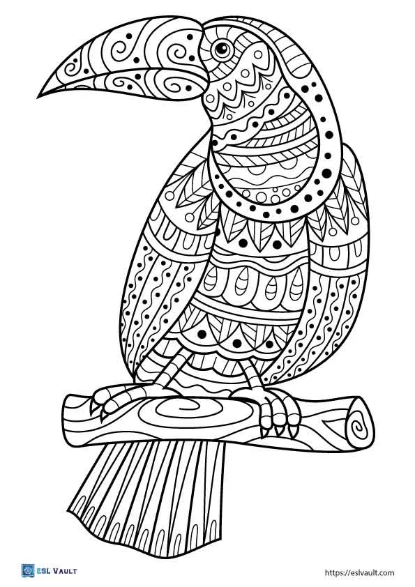 Creative coloring page featuring a toucan for young learners in civics and government Pre-K Color the Toucan worksheet with a fun tropical bird to paint