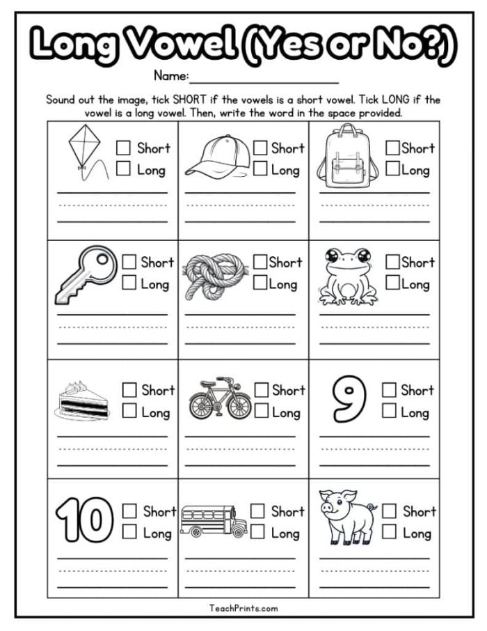 Preschool worksheet featuring a fun long vowel word search activity