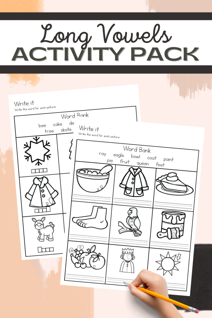 Preschool Long Vowel Hunt worksheet featuring colorful vowels and simple words