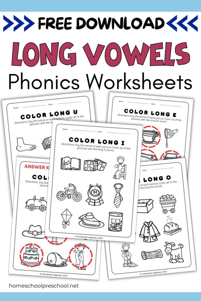 Preschool Long Vowel Hunt worksheet with colorful word search and vowel illustrations