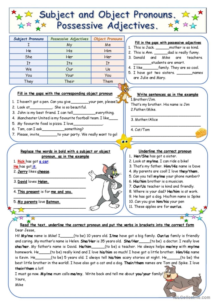 Worksheet for reviewing possessive, relative, and indefinite pronouns in fourth-grade history class
