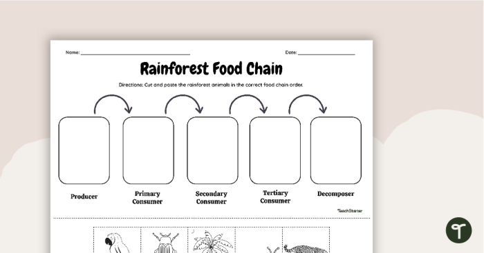 Educational Rain Forest Food Chain coloring activity for children number 22 Fourth Grade worksheet showing a colorful rain forest food web with snakes, butterflies, and leopards