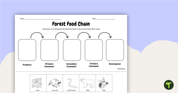 Educational Rain Forest Food Web activity for kids exploring animal relationships in a vibrant jungle environment Fourth Grade Rain Forest Food Web worksheet showing snakes, butterflies, leopards, and other animals in a colorful forest scene
