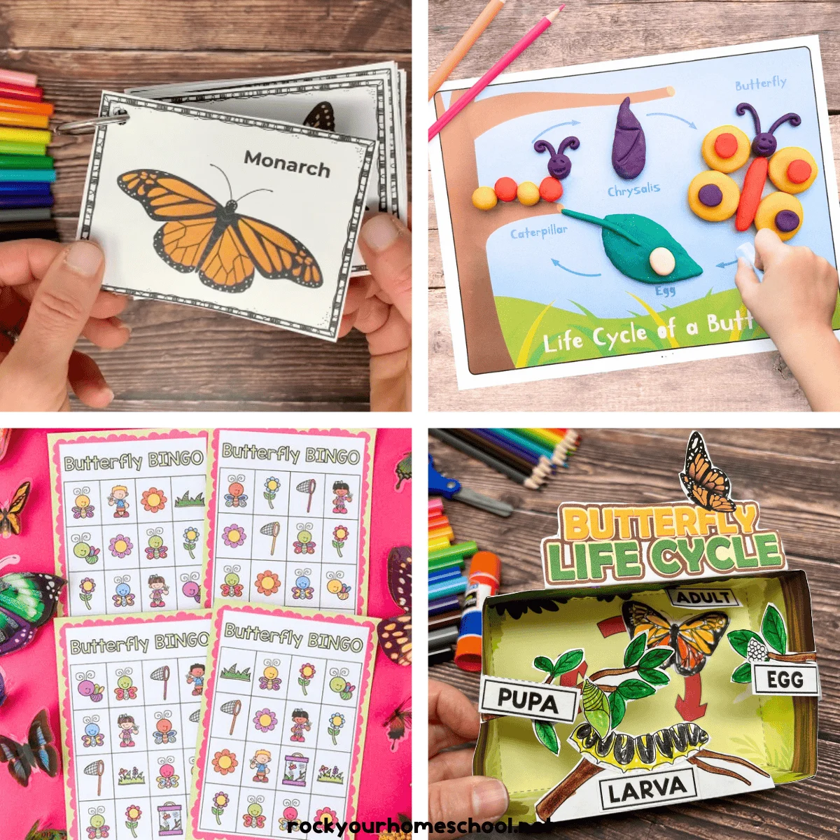 Engaging reading comprehension activity for The Butterfly That Stamped story by Kipling Third grade reading worksheet featuring The Butterfly That Stamped story elements