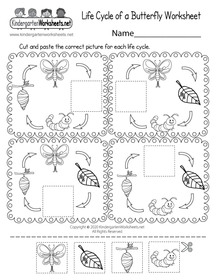 Reading comprehension activity for The Butterfly That Stamped worksheet, image 4 Third Grade reading worksheet featuring The Butterfly That Stamped story by Rudyard Kipling