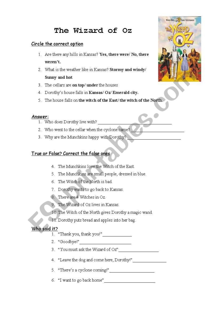 Worksheet image number 16 showing questions based on a passage from The Wonderful Wizard of Oz for fifth graders Fifth grade students completing an analyzing a passage from The Wizard of Oz worksheet focused on reading comprehension