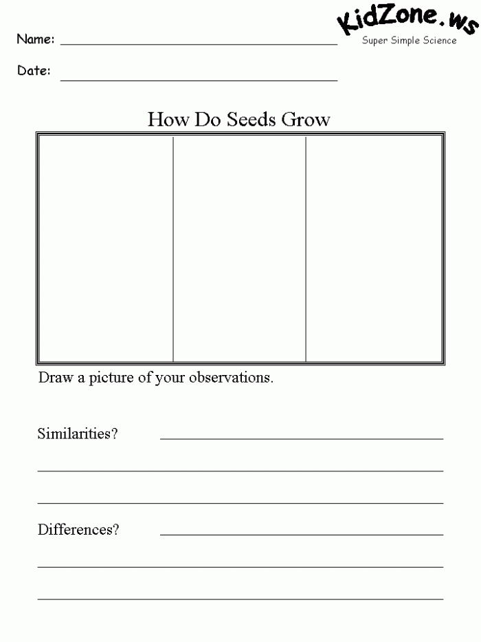 Handwriting worksheet for Pre-K Recording Observations: What Do You See? worksheet for Pre-K