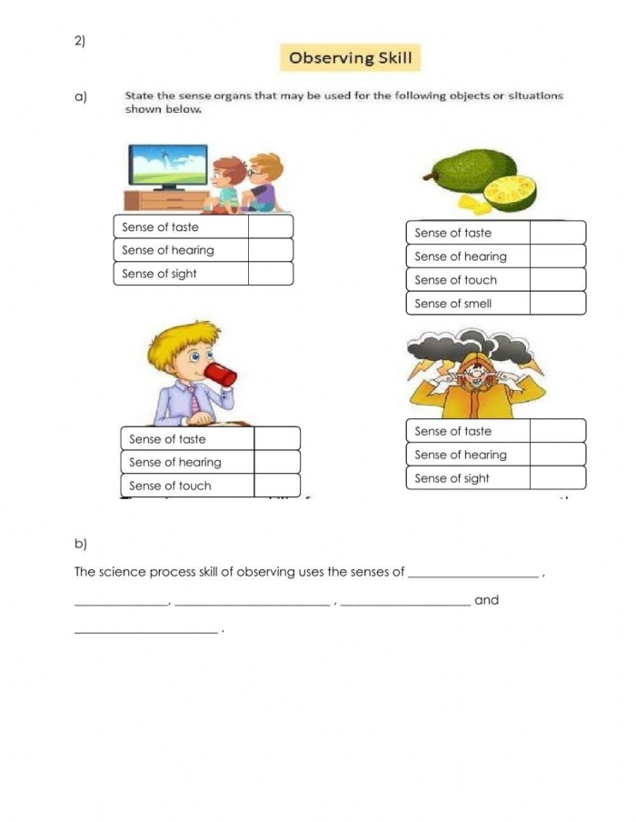 Handwriting worksheet for Pre-K Recording Observations: What Do You See? worksheet for Pre-K