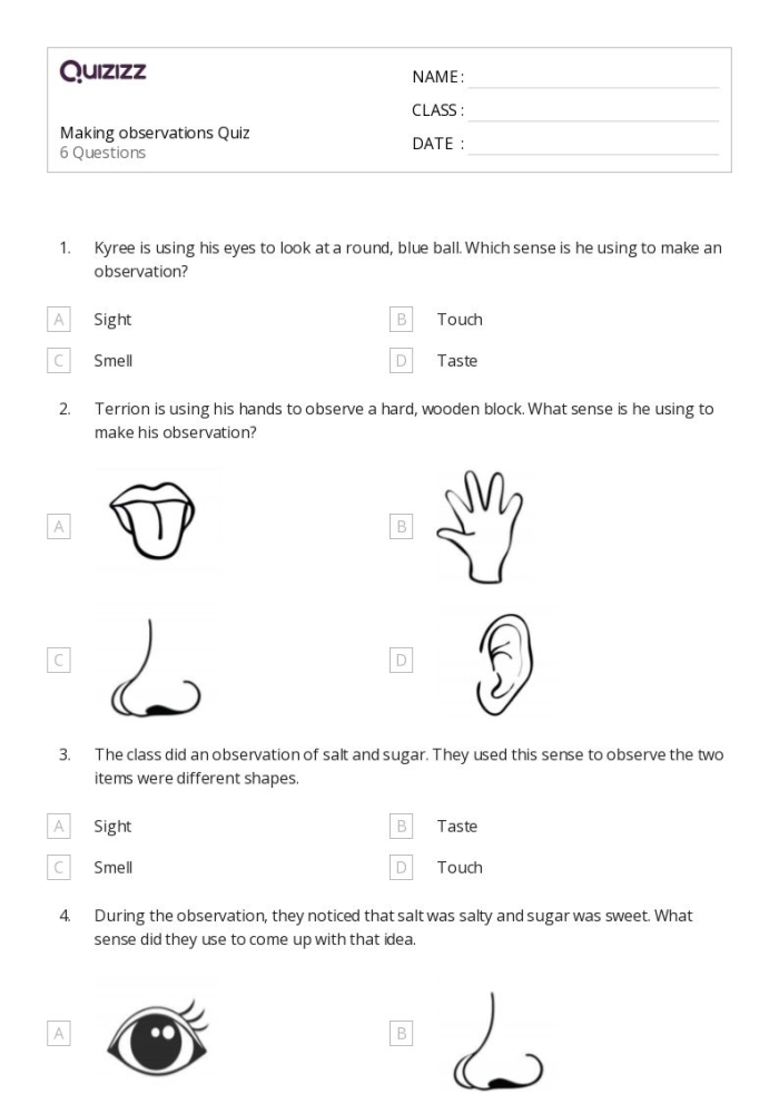 Handwriting worksheet for Pre-K Recording Observations: What Do You See? worksheet for Pre-K