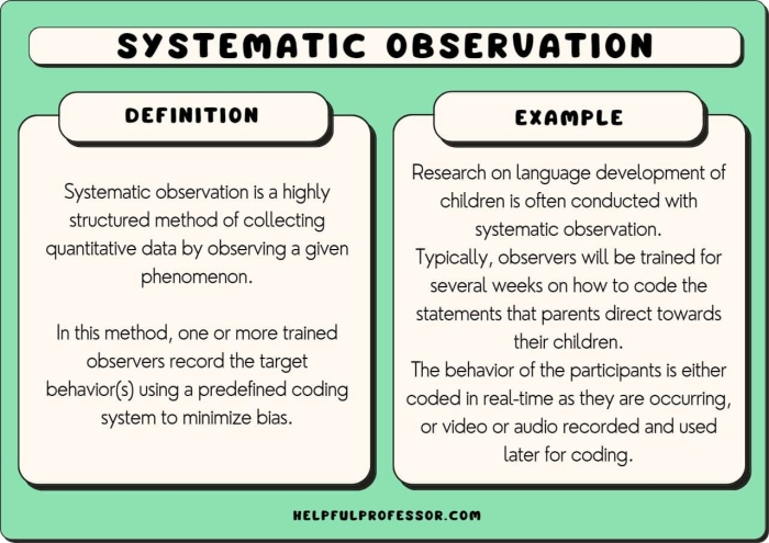 Handwriting worksheet for Pre-K Recording Observations: What Do You See? worksheet for Pre-K