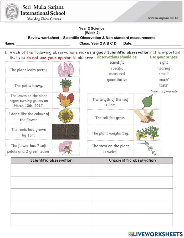 Handwriting worksheet for Pre-K Recording Observations: What Do You See? worksheet for Pre-K