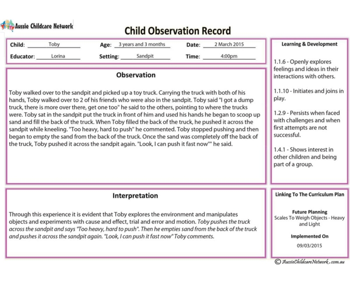 Handwriting worksheet for Pre-K Recording Observations: What Do You See? worksheet for Pre-K