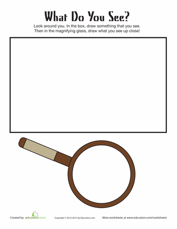 Handwriting worksheet for Pre-K Recording Observations: What Do You See? worksheet for Pre-K