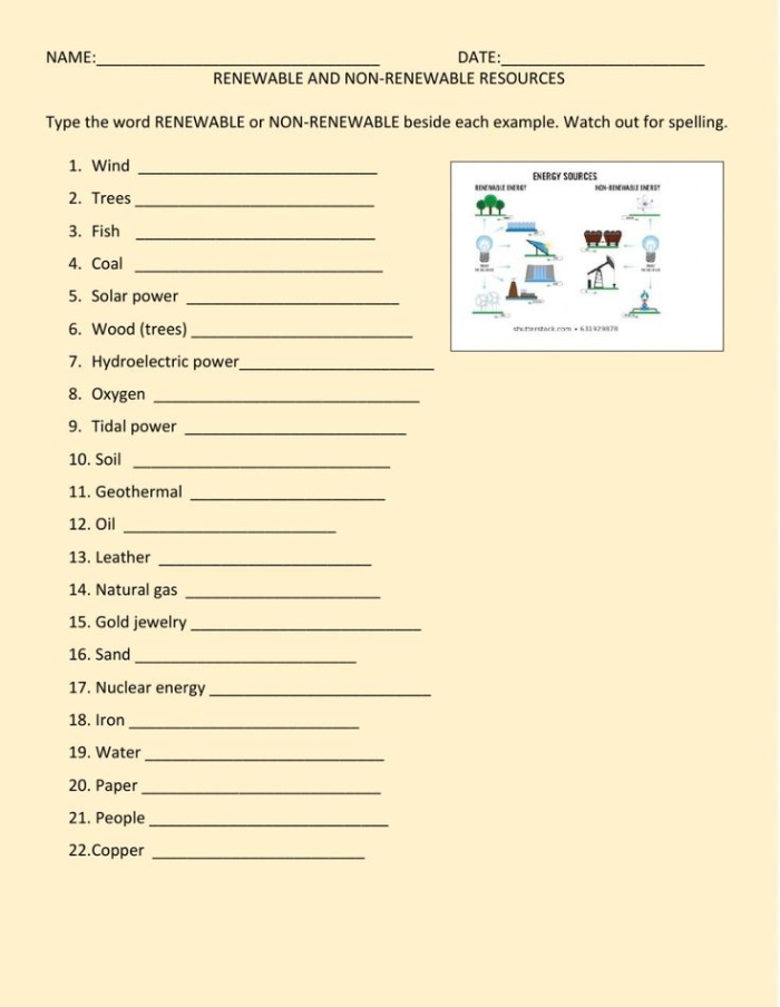 Second grade geography worksheet showing various natural resources to sort into renewable and nonrenewable categories