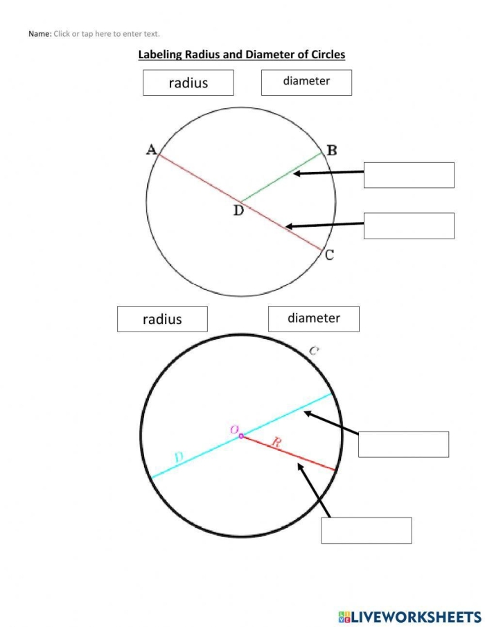 Riley's Renovation worksheet showcasing scale drawing, area, and circumference tasks for seventh graders