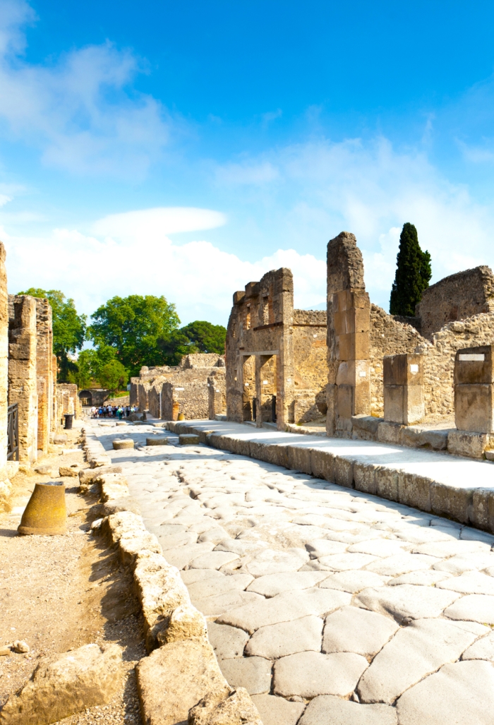 Roman roads graphic organizer worksheet for sixth grade students exploring ancient engineering marvels Ancient Roman Roads graphic organizer worksheet designed for sixth grade data and graphing activities