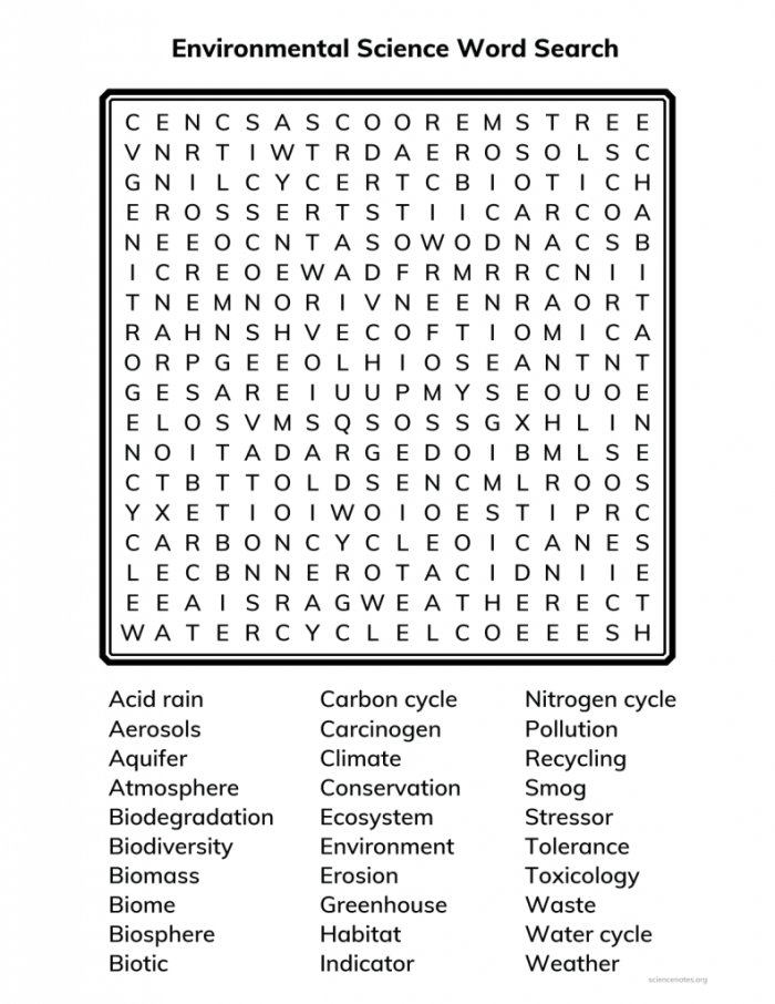 Natural Resources word search activity worksheet for grade two students, image 22 Second Grade Natural Resources Word Search worksheet focused on addition vocabulary