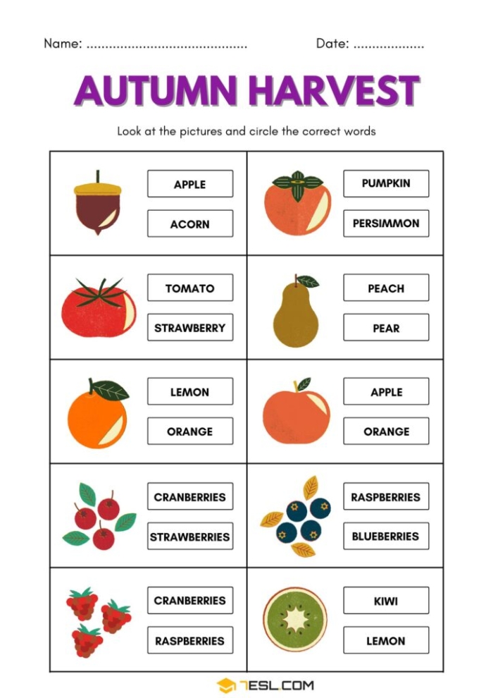 Autumn spelling practice worksheet for second graders focusing on correctly spelling fall-related words Second grade student completing an autumn-themed spelling worksheet with colorful fall images