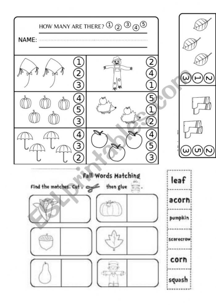 Autumn spelling practice for second graders with tricky word choices worksheet 18 Second grade student completing an autumn-themed spelling worksheet with fall vocabulary