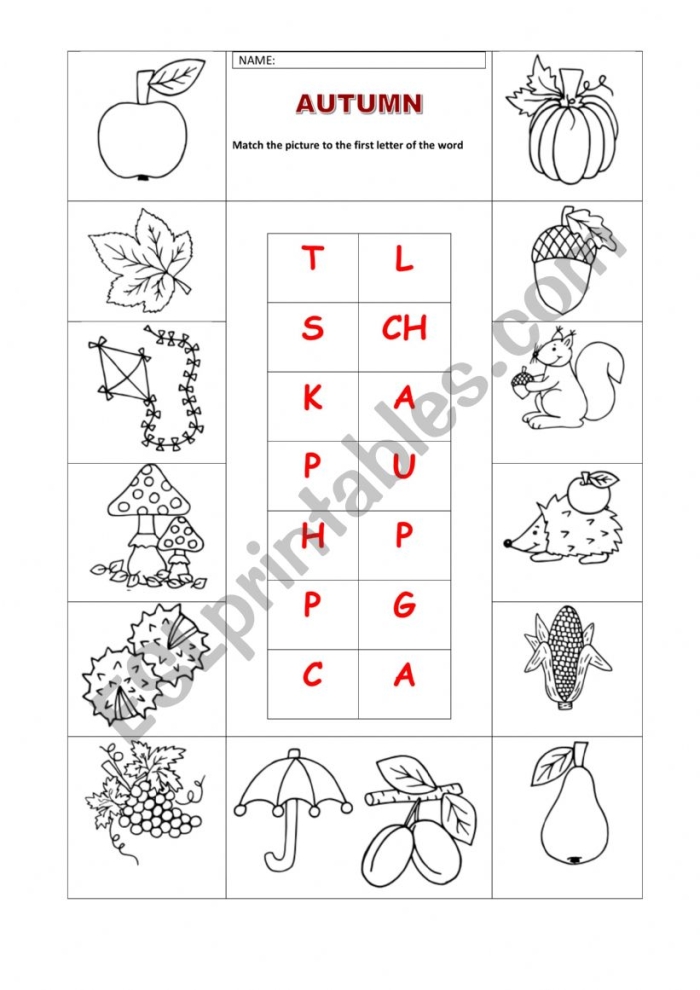 Worksheet image for autumn-themed spelling practice in second grade kids classroom Second Grade Autumn Spelling worksheet with a fun activity to pick the right word spellings