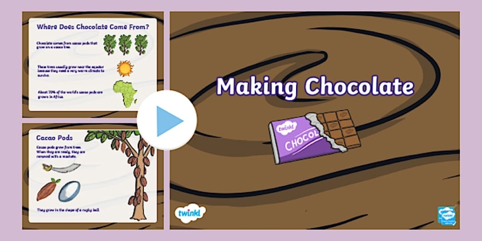 Engaging chocolate production story worksheet for second graders number 15 Second grade students completing a How Chocolate is Made sequencing worksheet