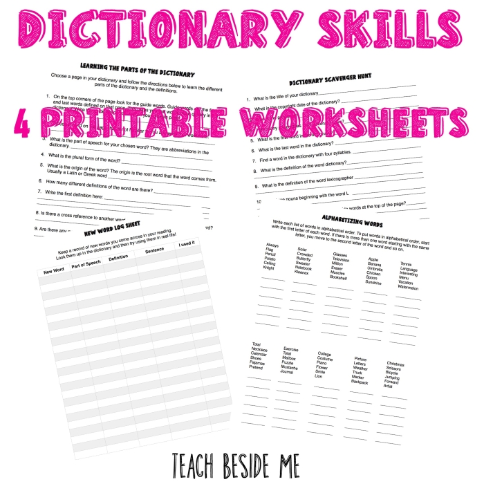 Second grade student learning dictionary entry components with guide showing word definitions and pronunciation