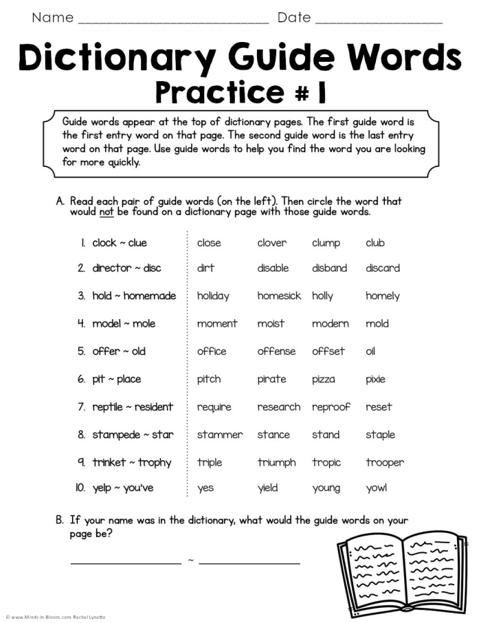 Second grade student learning dictionary entry components with guide showing word definitions and alphabetical order