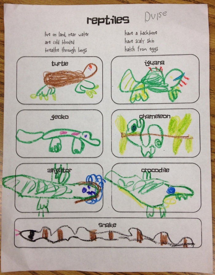 Engaging reading and writing activity on gecko facts for young learners Colorful worksheet featuring fun facts about geckos for second graders