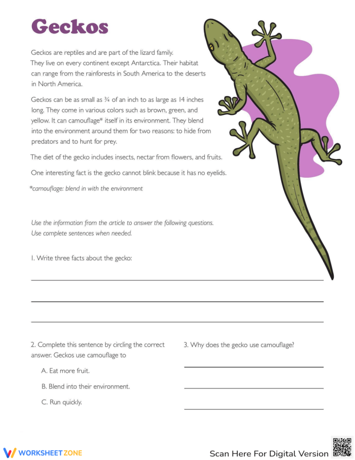 Engaging reading and writing exercise about geckos for young learners Colorful worksheet featuring fun facts about geckos for second graders