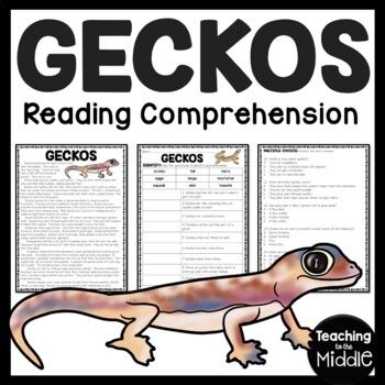Engaging reading and writing activity on geckos for young learners Colorful worksheet featuring interesting facts about geckos for second graders